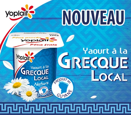 Yaourt Ã  la Grecque